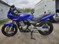 2004 Honda CB 600F Hornet, синий, 340000 рублей - вид 1