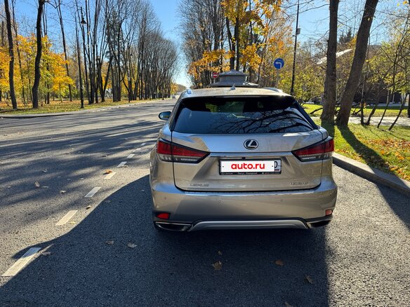 2020 Lexus RX 300 IV Рестайлинг, серый, 4300000 рублей - вид 12