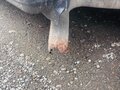 2013 Fiat Professional Ducato, белый, 1200000 рублей - вид 4