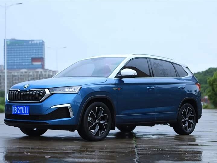 Открыть фотографии: Skoda Kamiq I (China Market)