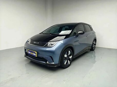 2024 BYD Dolphin 44.9 kWh I, серый, 1510010 рублей, вид 3