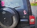 2008 ТагАЗ Tager, белый, 1200000 рублей - вид 7
