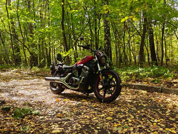 2022 Harley-Davidson Nightster, красный - вид 24