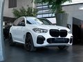 2020 BMW X5 30d IV (G05/G18), белый, 6270000 рублей - вид 9