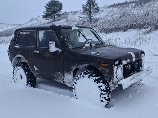2008 Lada (ВАЗ) 2121 (4x4) I Рестайлинг, коричневый, 170000 рублей, вид 2