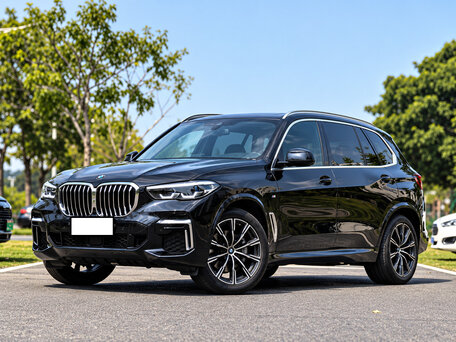 2024 BMW X5 30d IV (G05/G18), чёрный, 9000000 рублей, вид 1