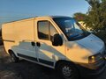 2003 Fiat Professional Ducato, белый, 750000 рублей - вид 1