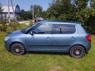 2009 Skoda Fabia II, серый, 455000 рублей, вид 4