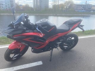 2024 Kawasaki Ninja 500, красный, 725000 рублей, вид 5