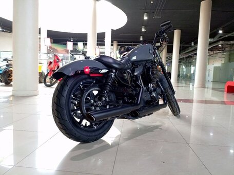 2022 Harley-Davidson Sportster 883, серый, 830000 рублей, вид 4