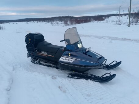 1994 Yamaha VK540, фиолетовый, 450000 рублей, вид 2