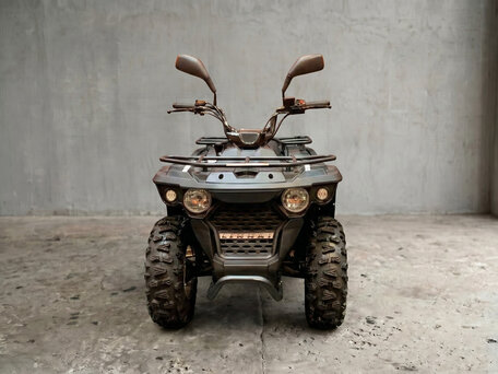 2026 Linhai M200, чёрный, 199000 рублей, вид 2