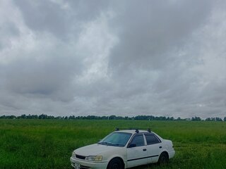 1997 Toyota Corolla VIII (E110), белый, 170000 рублей, вид 4