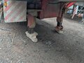 2020 РосСпецПрицеп 9462, красный, 3383900 рублей - вид 7