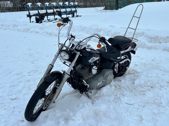 2001 Harley-Davidson Softail Standard, чёрный, 789000 рублей - вид 9