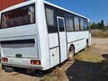 2007 ПАЗ 4230 Аврора, белый, 450000 рублей - вид 2