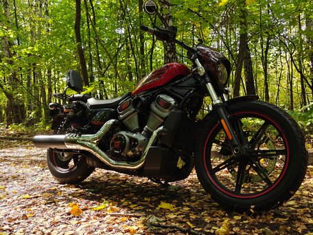 2022 Harley-Davidson Nightster, красный, 970000 рублей, вид 1