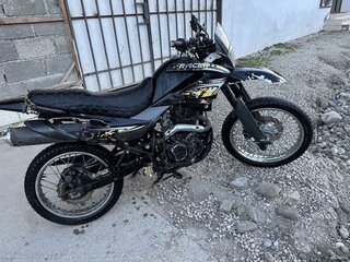 Racer Indigo