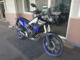 2021 Yamaha Tenere 700, синий, 960000 рублей, вид 3