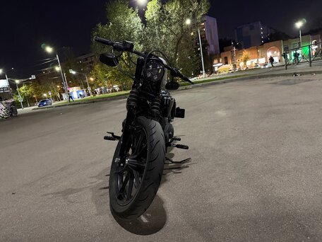 2021 Harley-Davidson Sportster 1200, серый, 1450000 рублей, вид 3