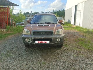 2001 Hyundai Santa Fe I, коричневый, 295000 рублей, вид 3