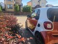 2017 Smart Fortwo III, чёрный, 1020000 рублей - вид 2