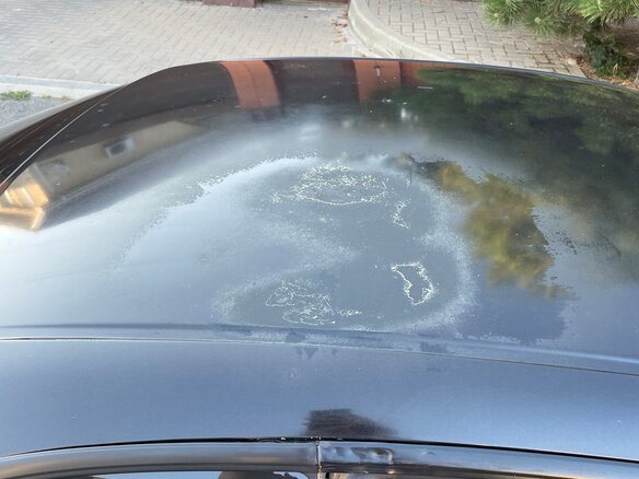 1999 Toyota Corolla Levin VII (AE110/AE111), чёрный - вид 10