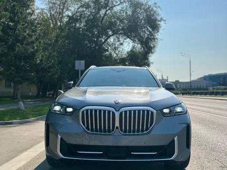 2023 BMW X5 40i IV (G05/G18) Рестайлинг, серый, 8100000 рублей, вид 2