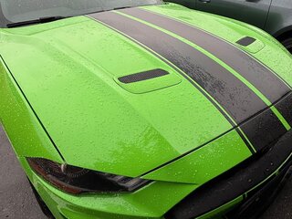2020 Ford Mustang VI Рестайлинг, зелёный, 2580000 рублей, вид 5