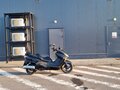 2008 Honda Forza, чёрный, 170000 рублей