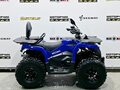 2025 Bison 250U, синий - вид 5