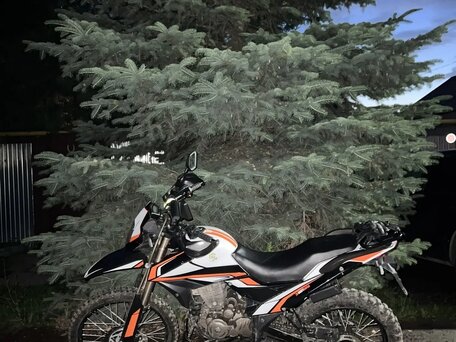 2022 Shineray Adventure 250, белый, 97000 рублей, вид 1