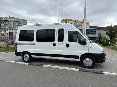 2009 Fiat Professional Ducato, белый, 2250000 рублей, вид 1