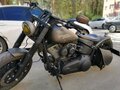 2007 Harley-Davidson Softail Custom, чёрный, 1200000 рублей - вид 4
