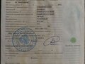 2013 Yamaha VK540, чёрный, 850000 рублей - вид 3