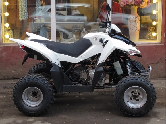 2026 Sym QuadRaider, белый, 233000 рублей - вид 2