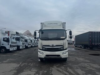 2024 Forland 12, белый, 6262000 рублей, вид 2