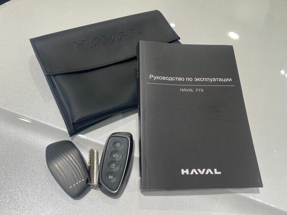 2025 Haval F7x II, белый, 3146000 рублей - вид 38