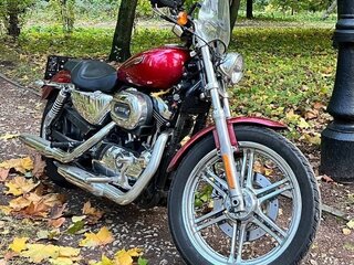2009 Harley-Davidson Sportster 1200, красный, 650000 рублей, вид 2