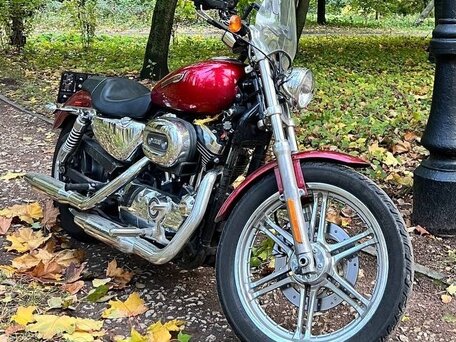 2009 Harley-Davidson Sportster 1200, красный, 650000 рублей, вид 2