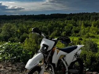 2024 Motoland TT250, белый, 115000 рублей, вид 2