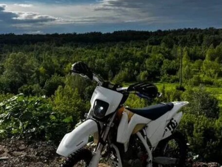 2024 Motoland TT250, белый, 115000 рублей, вид 2