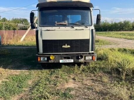 2003 МАЗ 4370, серый, 420000 рублей, вид 2