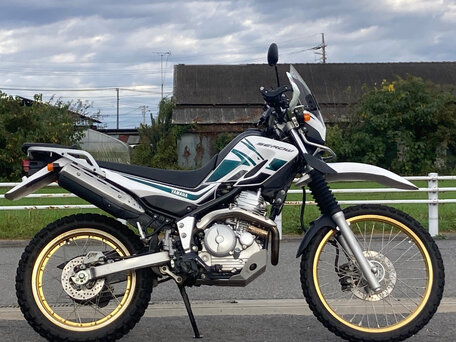 2008 Yamaha XT250 Serow, белый, 450000 рублей, вид 3