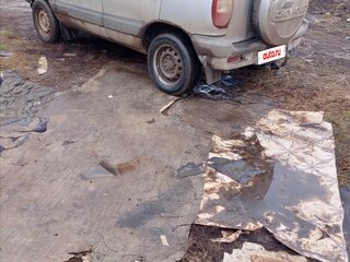 2008 Chevrolet Niva I, серебристый, 250000 рублей, вид 5