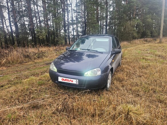 2007 Lada (ВАЗ) Kalina I, синий - вид 12