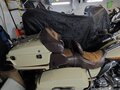 2010 Harley-Davidson CVO Road Glide, бежевый, 1400000 рублей - вид 10