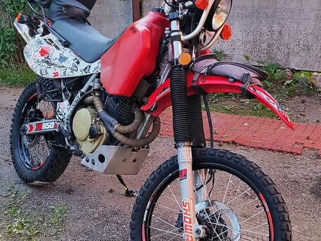2001 Honda XR 650L, красный, 445000 рублей, вид 4