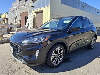 2019 Ford Escape III Рестайлинг, чёрный, 2700000 рублей, вид 1