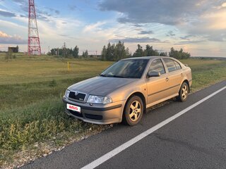 2008 Skoda Octavia I (A4) Рестайлинг, серый, 740000 рублей, вид 1
